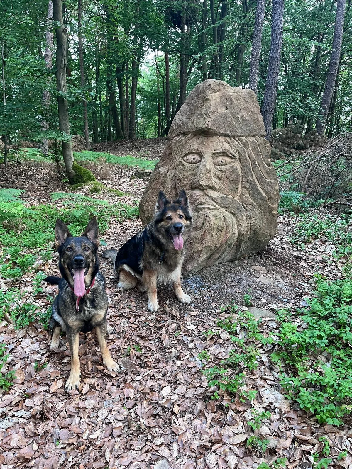 Zwei Hunde vor einer geschnitzten Figur im Wald